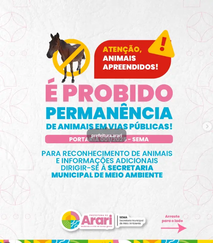 A permanência de animais soltos em vias públicas é proibida e coloca em risco a segurança da população e o bem-estar dos